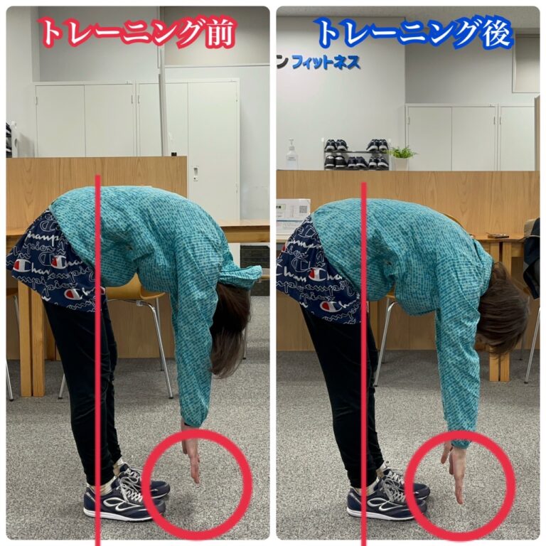 現役トレーナーが教える体を柔らかくする方法！大人でも今日からできる“3分ストレッチ”と続けるコツ | ストレッチトレーニングならRe・ファイン ...